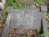 image of grave number 908119